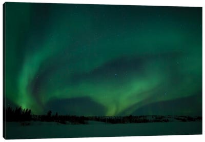 Active Aurora Over Vee Lake, Yellowknife, Northwest Territories, Canada Canvas Art Print