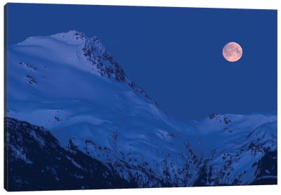 Moonset Canvas Art Print