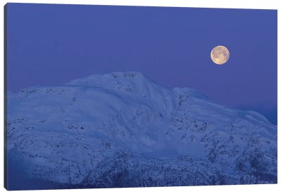 Moonset At Dawn Canvas Art Print