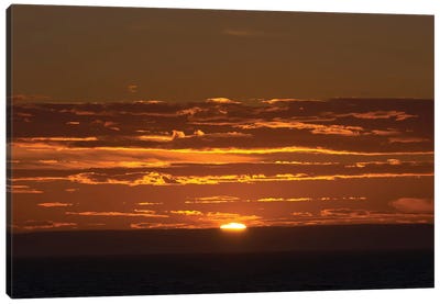 Sunset At Gulf Of St. Lawrence. Canvas Art Print