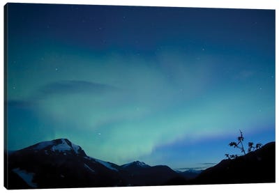 Aurora, Salmon Glacier, British Columbia, Canada Canvas Art Print