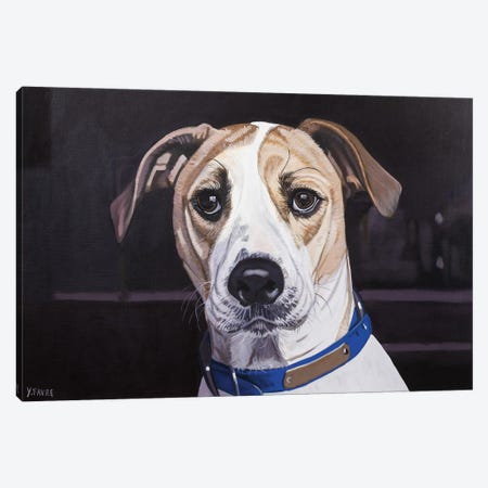 Good Dog Canvas Print #YVF18} by Yvan Favre Canvas Art
