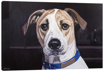 Good Dog Canvas Art Print - Yvan Favre