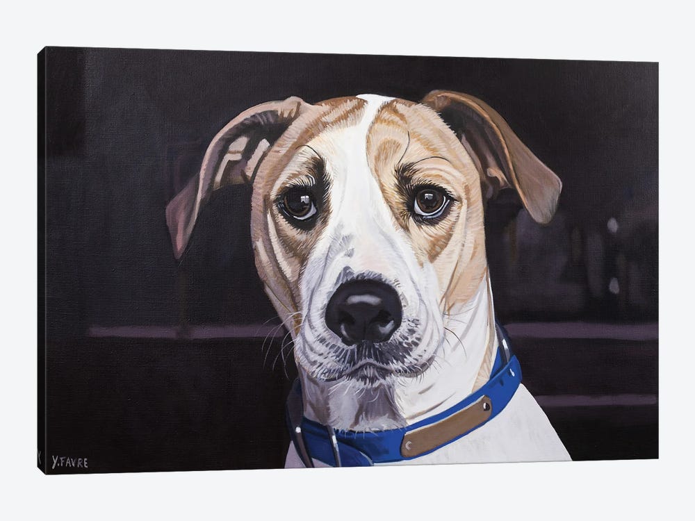 Good Dog by Yvan Favre 1-piece Art Print