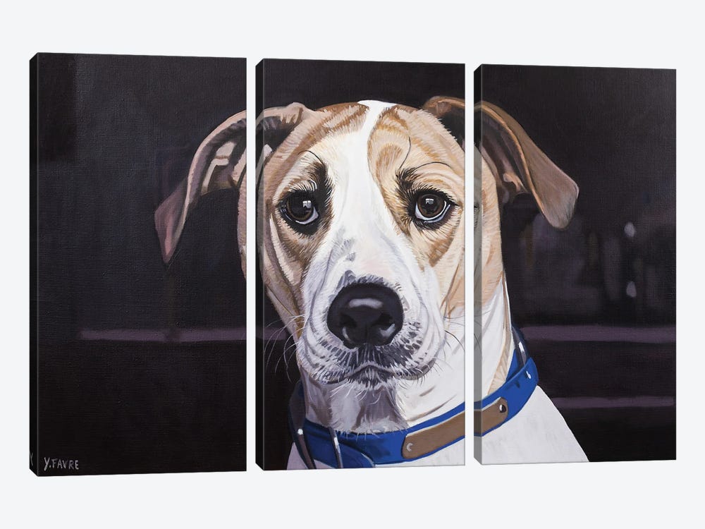 Good Dog by Yvan Favre 3-piece Canvas Art Print
