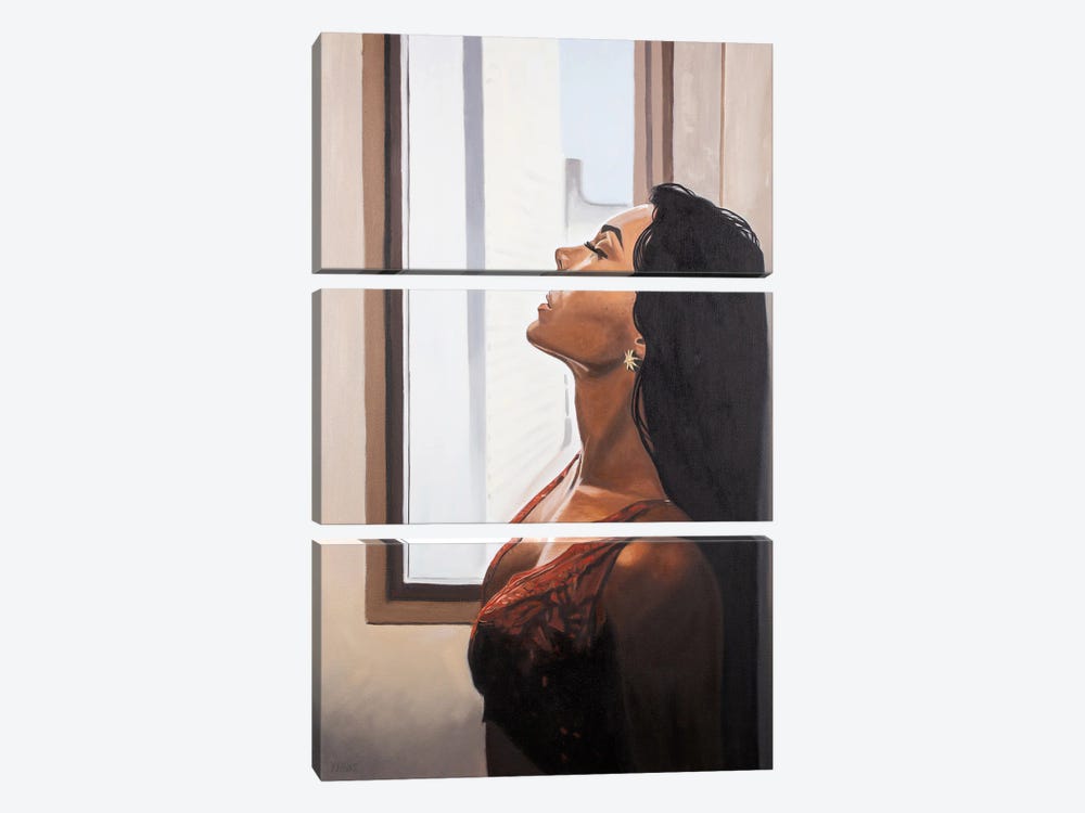 Blow by Yvan Favre 3-piece Canvas Print