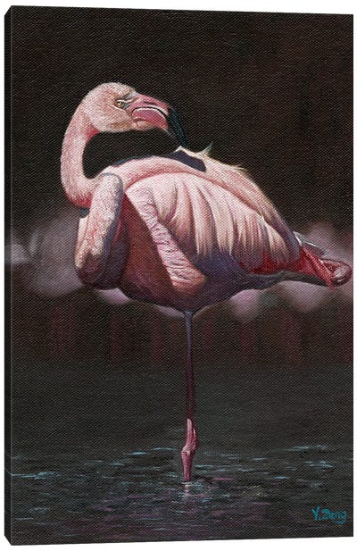 Pink Flamingo Bird Canvas Art Print - Black & Pink