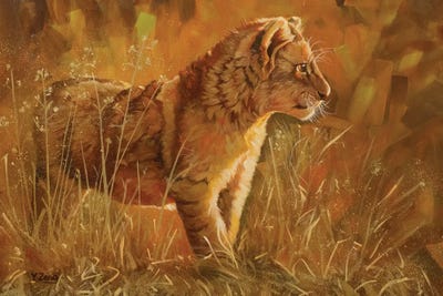 Lion Cub by Yue Zeng canvas print