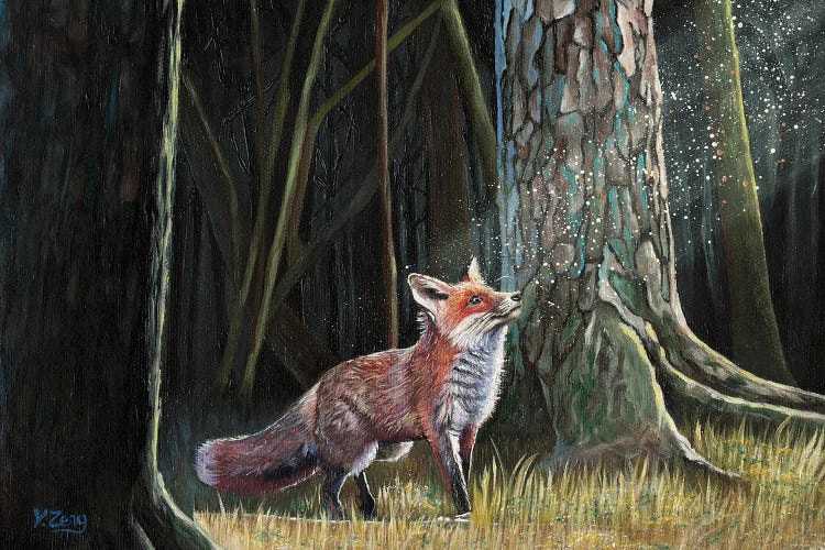 Red Fox In Forest