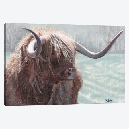 Highland Bull Canvas Print #YZG13} by Yue Zeng Canvas Print