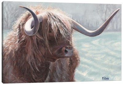 Highland Bull Canvas Art Print - Yue Zeng
