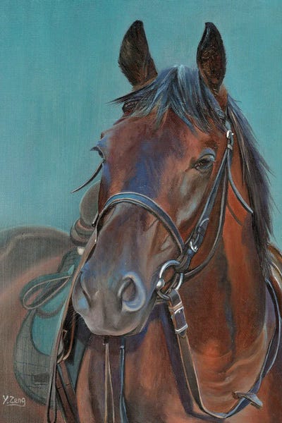 Horse Portrait by Yue Zeng framed wall art