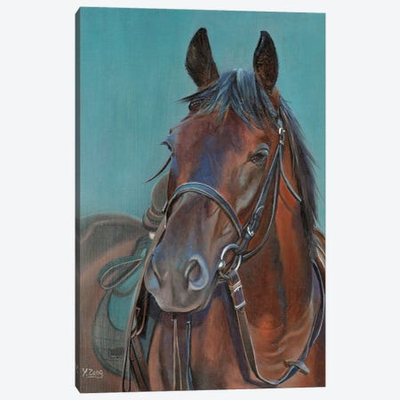 Horse Portrait Canvas Print #YZG14} by Yue Zeng Canvas Art