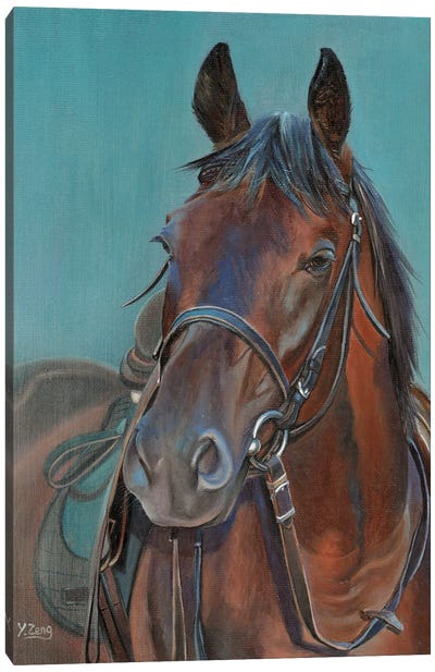 Horse Portrait Canvas Art Print - Yue Zeng