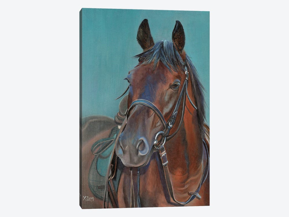 Horse Portrait by Yue Zeng 1-piece Canvas Print