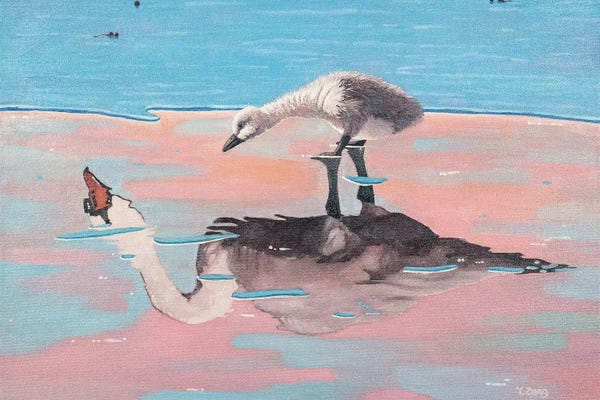 Yue Zeng: Ugly Ducking Fantasy by Yue Zeng