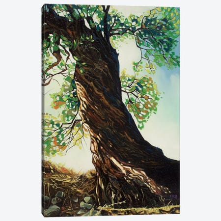 Big Tree Canvas Print #YZG19} by Yue Zeng Canvas Print