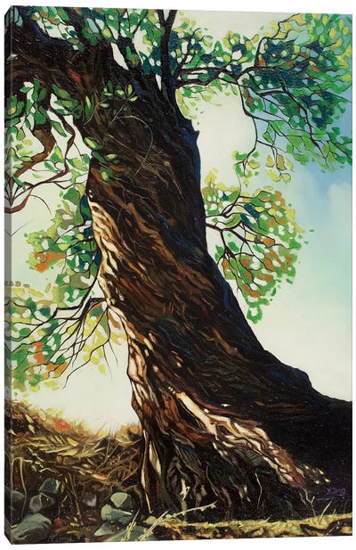 Big Tree Canvas Art Print - Yue Zeng