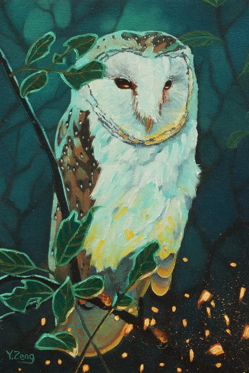 Night Owl