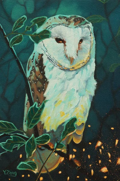 Yue Zeng: Night Owl by Yue Zeng