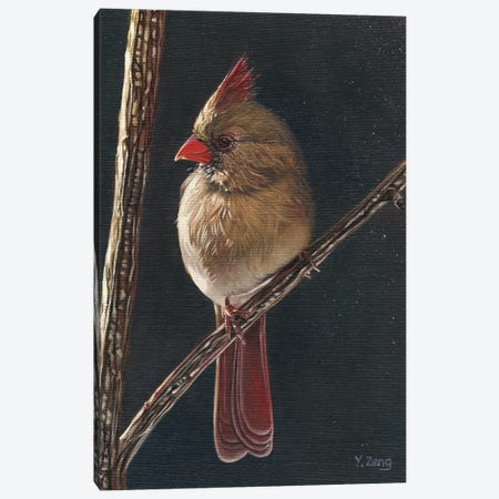 Female Cardinal Bird Canvas Print #YZG20} by Yue Zeng Canvas Artwork