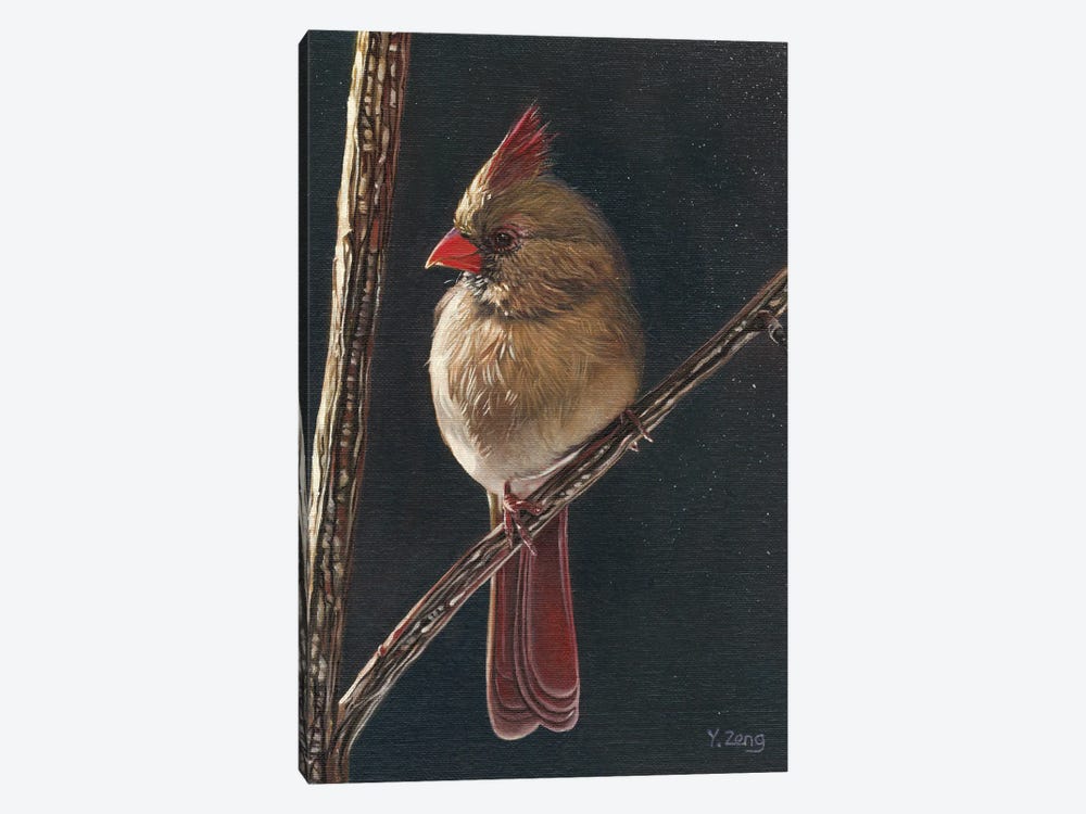 Female Cardinal Bird by Yue Zeng 1-piece Canvas Art