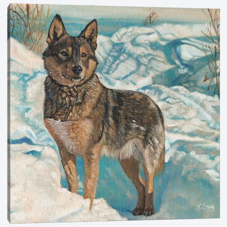 German Shepherd In Snow Field Canvas Print #YZG25} by Yue Zeng Canvas Art Print