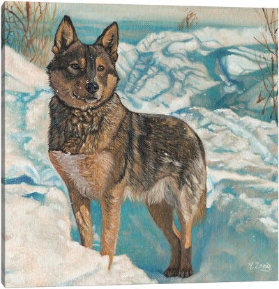 German Shepherd In Snow Field Canvas Art Print - German Shepherd Art