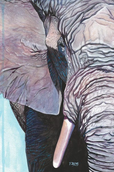 Elephant Portrait by Yue Zeng framed wall art