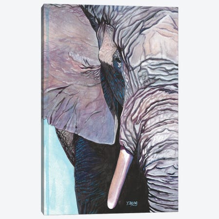 Elephant Portrait Canvas Print #YZG27} by Yue Zeng Canvas Art Print