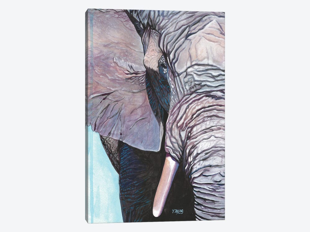 Elephant Portrait by Yue Zeng 1-piece Canvas Print