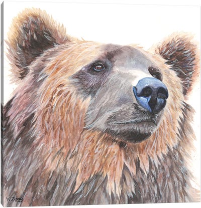 Grizzly Bear Portrait Canvas Art Print - Grizzly Bear Art