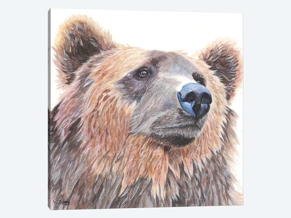 Grizzly Bear Portrait by Yue Zeng 1-piece Canvas Print