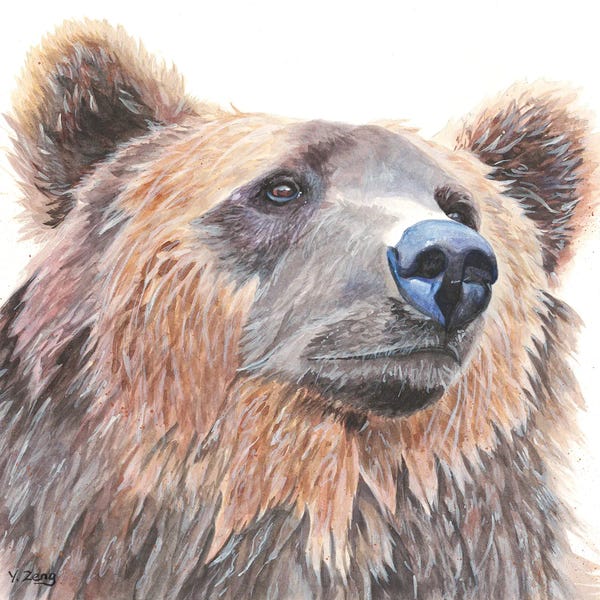 Grizzly Bears: Grizzly Bear Portrait by Yue Zeng