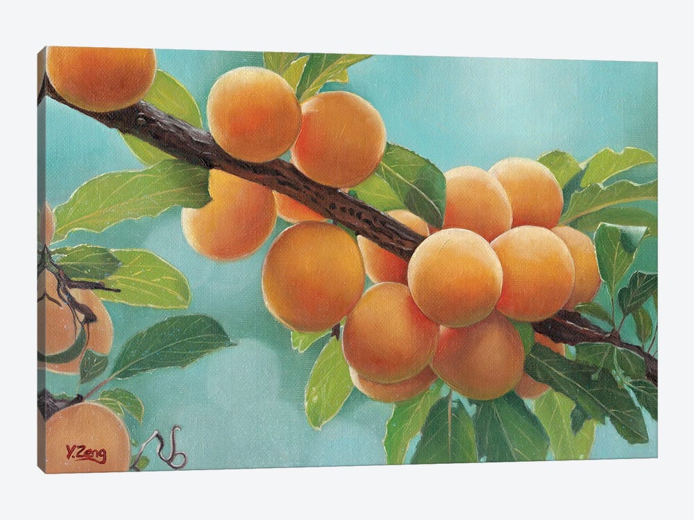 Apricots by Yue Zeng 1-piece Canvas Artwork