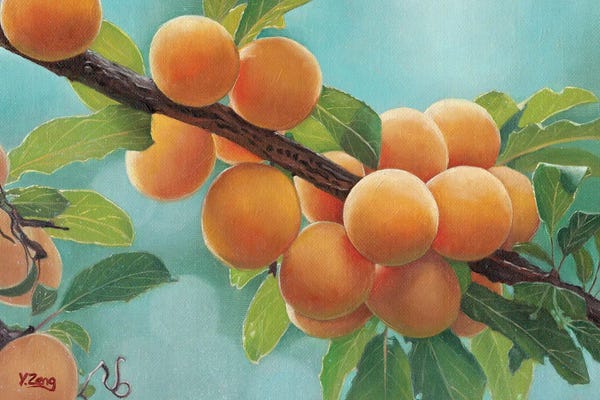 The Art Of Fine Dining: Apricots by Yue Zeng