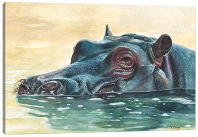 Hippo Canvas Art Print - Yue Zeng