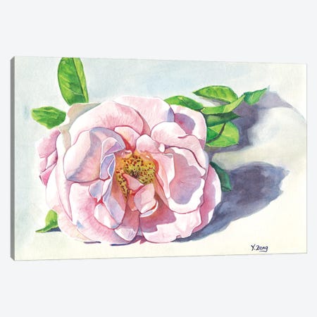 Single Pink Rose Canvas Print #YZG31} by Yue Zeng Canvas Art Print