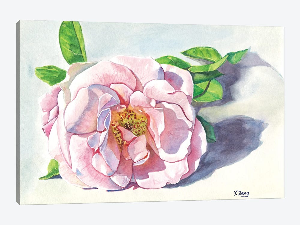 Single Pink Rose by Yue Zeng 1-piece Canvas Wall Art
