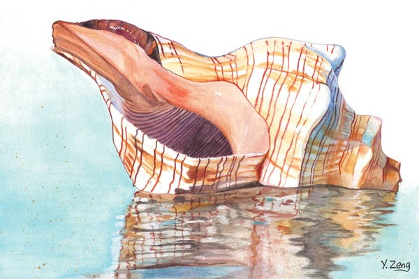 Ocean Treasures: Seashell by Yue Zeng