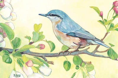 Spring Bird by Yue Zeng framed wall art