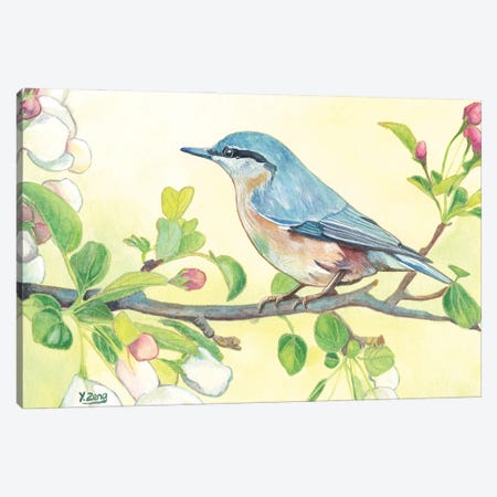 Spring Bird Canvas Print #YZG34} by Yue Zeng Canvas Artwork