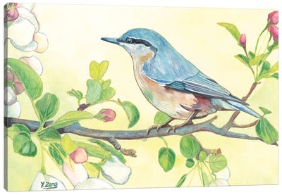 Spring Bird Canvas Art Print - Yue Zeng