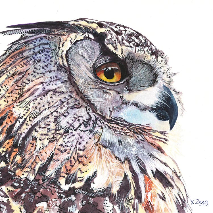 Great Horned Owl Portrait