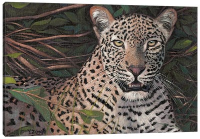 Leopard Canvas Art Print - Yue Zeng