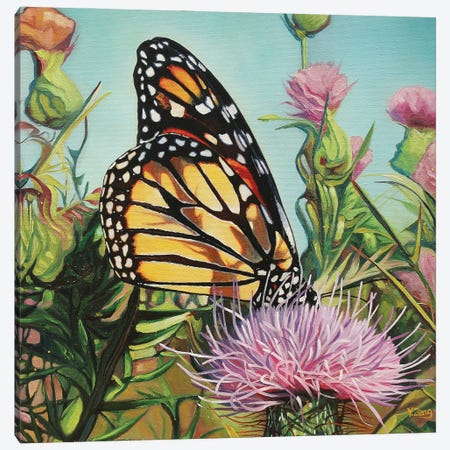 Monarch Butterfly Canvas Print #YZG38} by Yue Zeng Canvas Art Print