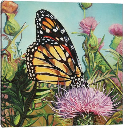 Monarch Butterfly Canvas Art Print - Yue Zeng