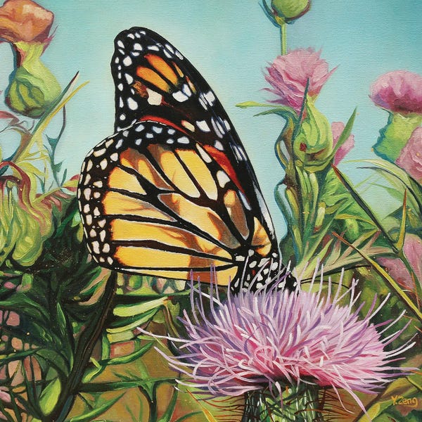 Monarch Butterflies: Monarch Butterfly by Yue Zeng
