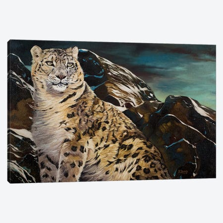 Mountain Spirit Snow Leopard Canvas Print #YZG39} by Yue Zeng Canvas Print