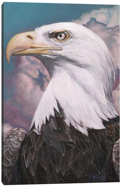 Bald Eagle 2019 Canvas Art Print - Yue Zeng